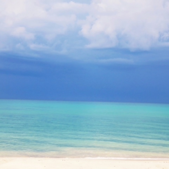 Meet your Posher, Alice - Picture 10 of 15